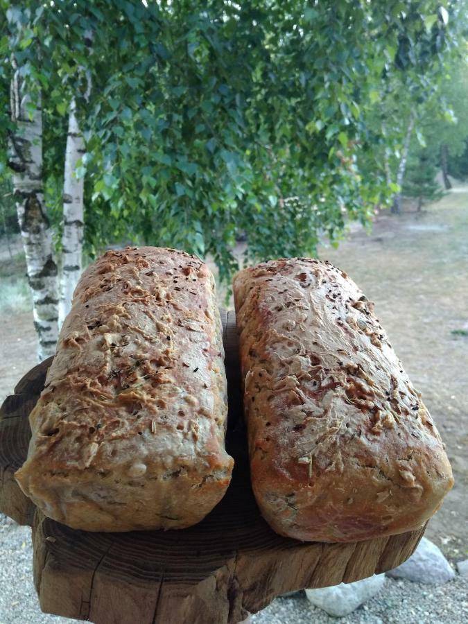 فيلا Siedlisko Soce Agroturystyka المظهر الخارجي الصورة